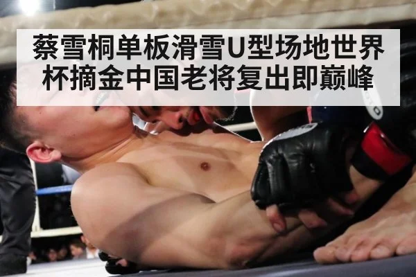 蔡雪桐单板滑雪U型场地世界杯摘金中国老将复出即巅峰